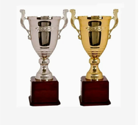 Prix cadeau de trophée d'argent de conception personnelle de Promotion directe d'usine, coupe de trophée de cristal de verre/imprimé en 3D/Football/Tennis/Cricket