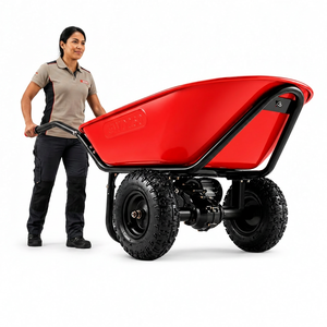 รถเข็น Tayo EWD260 รับน้ำหนักได้ 260 กก. โครงเหล็ก มอเตอร์ 350 วัตต์ สำหรับงานหนัก แบบเข็นมือ 2 ล้อ พร้อมเบรกไฟฟ้า - Product Image 1