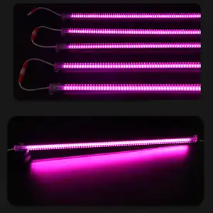 220V 전체 스펙트럼 LED 바 램프 7W 50cm 높은 빛나는 Phytolamp LED 묘목 온실에 대 한 빛을 성장 텐트