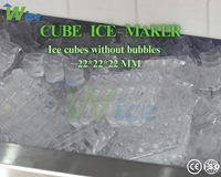 Máquina de Hielo Comercial WICE de Doble Cabezal, Alta Potencia, Producción Diaria de 900 kg, Almacenamiento de Hielo de 450 kg, Ideal para Lugares con Alta Demanda
