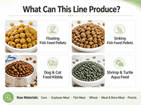 Machine extrudeuse de nourriture pour animaux à double vis, ligne de production automatique et continue à haute efficacité pour aliments pour chiens, chats et poissons, pour usine