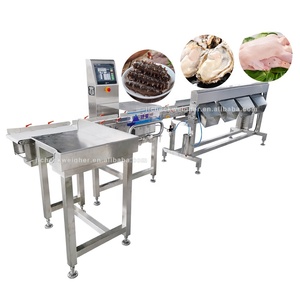 Máquina Clasificadora Automática de Acero Inoxidable 304 para Frutas, Carne, Pollo y Pescado, con Cinta Transportadora y Báscula, Velocidad de 150 piezas/min - Product Image 2