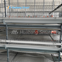 Équipement d'élevage de poulets de chair Système automatique Cage pour poulets de chair