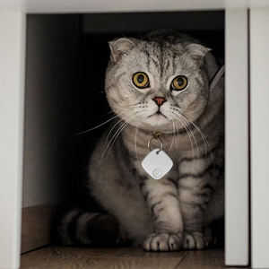 Système de suivi GPS intelligent anti-perte certifié MFI Longue durée de vie de la batterie pour AirTag Tracker Nouvelle arrivée IOS Android pour Bluetooth - Product Image 1