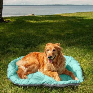 Cama de viaje plegable ecológica para perros, perrera para gatos, bolsa de transporte para <span class=keywords><strong>animales</strong></span> pequeños, función de refrigeración lavable para uso en senderos al aire libre - Product Image 5