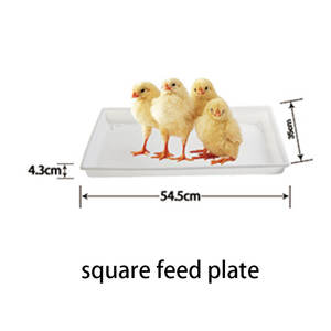 Plato <span class=keywords><strong>de</strong></span> Alimentación <span class=keywords><strong>de</strong></span> Alta Calidad para <span class=keywords><strong>Pollos</strong></span>, Bandeja para Comederos <span class=keywords><strong>de</strong></span> Aves <span class=keywords><strong>de</strong></span> <span class=keywords><strong>Corral</strong></span>, Plataforma para Pollitos <span class=keywords><strong>de</strong></span> un Día, Bandeja <span class=keywords><strong>de</strong></span> Inicio para Alimentación - Product Image 3