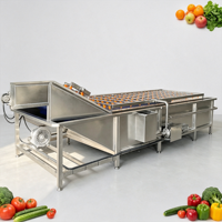 Automatische 304 roestvrijstalen luchtbel fruit- en groentewasmachine industriële belwasser voor voedselverwerkingsfabriek
