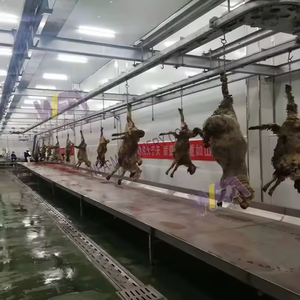 Ligne d'abattage halal pour moutons, système de <span class=keywords><strong>rail</strong></span> pour viande de chèvre, équipement d'abattoir pour agneau - Product Image 2