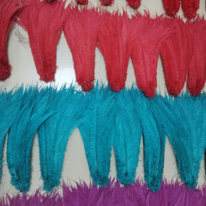 <span class=keywords><strong>Samber</strong></span> Carnival 18-20 pulgadas blanqueado teñido Nandu pluma recortada plumas de avestruz barato Caribe carnaval accesorios graduación - Product Image 6