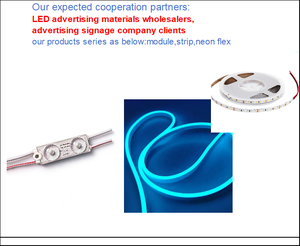 Industrial Grade LED <b>Neon</b> <b>Flex</b> 6x12mm DC12V Remote Dimmable USB Epistar CRI95 3-Year Warranty Hotel Mal Indoor Lighting - Product Image 5