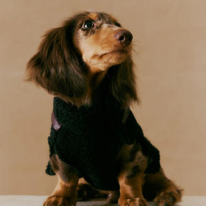 سترة فاخرة من الفرو للكلاب بالجملة، ملابس شتوية للحيوانات الأليفة، جاكيت مخصص للكلاب مع غطاء للرأس - Product Image 1