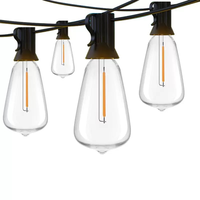 Ampoules LED rétro 3V 12V 24V 110V 220V Edison à filament plastique 1W ST38 E12, petites ampoules LED pour guirlandes lumineuses étanches