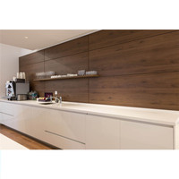 DAIYA armoires de cuisine finition laque armoires de cuisine