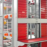 Cage à poules pondeuses automatisée pour l'élevage avicole, système de cages entièrement automatisées à batterie pour l'élevage de poules pondeuses