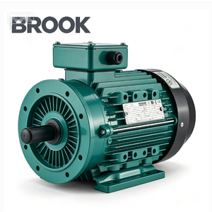 Vendre Moteur Électrique à Induction Triphasé BROOK 4kw 5.5kw 7.5kw 10kw 45kw 55kw 75kw 90kw 110kw 132kw 200kw 250kw 280kw 315kw - Product Image 1