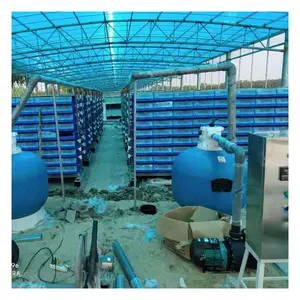 Réservoir de poissons personnalisé de l'usine pour l'élevage de tilapia RAS avec crevettes et crabe fabriqué à partir de matériau PP durable - Product Image 1