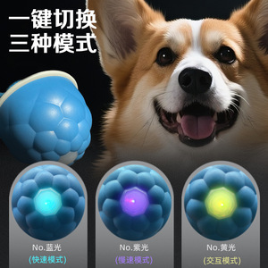Balle rebondissante à gravité pour animaux de compagnie, vente en gros d'usine, jouet intelligent pour chien, balle de marche automatique pour chien, jouet auto-amusant pour chien. - Product Image 2