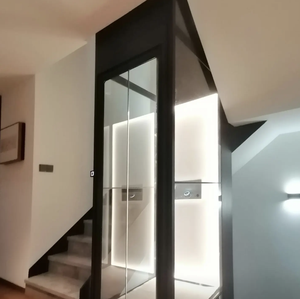 Ascensore Residenziale per Disabili Senza Barriere con Telaio Zincato, Elevatore Esterno per Ville per Anziani e Disabili - Product Image 6