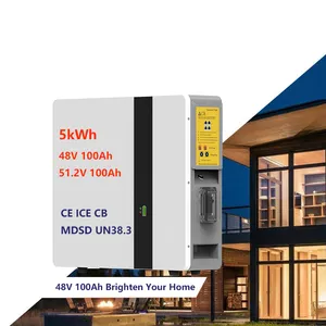 Wall Mounted Solar Battery Energy Storage System Home 5 kWh 51.2V Lithium Iron Phosphate Power Wall Byd Battery Storage