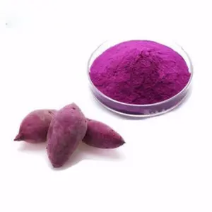Factory Supply Natural Sweet Purple Potato Powder Starch Food Grade