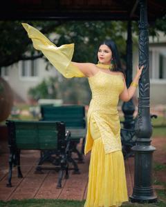 Haut en Georgette de Haute Qualité, Magnifique et Lourd, avec Broderie Entière et Palazzo en Georgette Lourd pour Femmes et Filles - Product Image 3