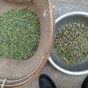 Mini máquina clasificadora de color óptica, clasificador de color de granos de 32 canales para maíz/semillas/frijoles/café - Product Image 6