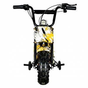 MAXSPEED - Motocicleta de Cross 250DH Más Vendida, Motor de Escobillas de 500 W, Batería de Plomo-ácido de 36 V, Mini Motocicleta Económica de Alta Calidad para Principiantes, 500 W/800 W/1000 W - Product Image 1