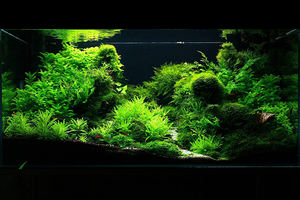 Régulateur de pression de gaz <span class=keywords><strong>CO2</strong></span> à haute pression réglable adapté aux marchés de l'aquarium, du piégeage physique des moustiques et des rats - Product Image 6