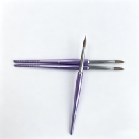 Brosses applicatrices de revêtement dentaire micro-brosses avec têtes de poils remplaçables pour usage professionnel en clinique dentaire