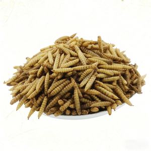 Larvas de Mosca Soldado Negra Orgánicas Bioforte, Alta en Proteínas, Sin Olor, Esterilizadas por Microondas, Alimento para Aves de Corral, Pollos y Patos - Product Image 2