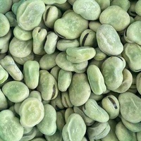 Qualité certifiée en usine Fava congelée IQF saine 100% Haricots frais Fava congelés à vendre