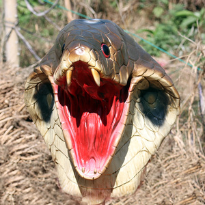 หน้ากากคอสเพลย์งูเห่าสุดหลอน หน้ากากงูทำจากยางลาเท็กซ์เหมือนจริง ครอบคลุมทั้งศีรษะ สำหรับงานคาร์นิวัลและอุปกรณ์ประกอบฉากคอสเพลย์สยองขวัญ - Product Image 5