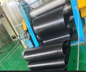 نظام ناقل حزامي أوتوماتيكي مخصص وفعال ومنخفض التكلفة - Product Image 6