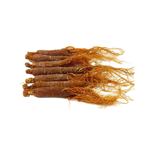 Hàn Quốc nhân sâm đỏ chiết xuất bột ginsenoside 5% 80% chiết xuất nhân sâm Bột Hàn Quốc nhân sâm đỏ chiết xuất - Product Image 2