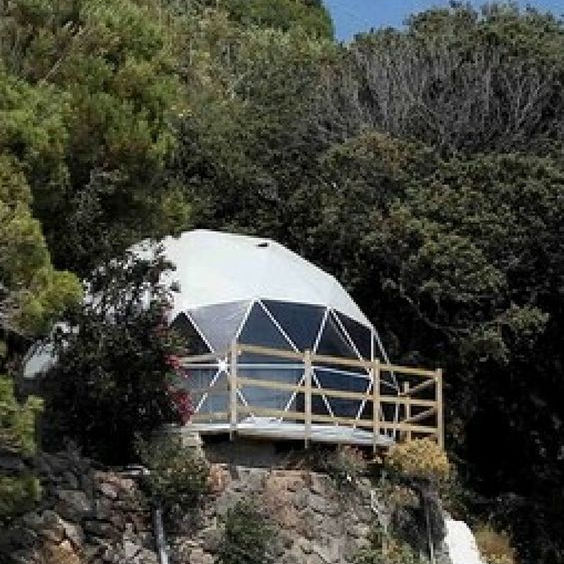 สีขาว/claer