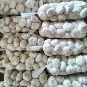 <strong>Fresh</strong> <strong>Garlic</strong> Chinese New Crop Ail Supply As <strong>Garlic</strong> and Pure White Alho Ajo From Wholesale <strong>Garlic</strong> Manufacturer - Product Image 2