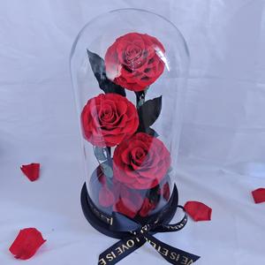 Rosa Eterna en Cúpula de Cristal con Luces LED, Regalos para el Día de la Madre, Navidad, Día del Maestro, Recuerdos de Boda, Artículos para Fiestas - Product Image 3