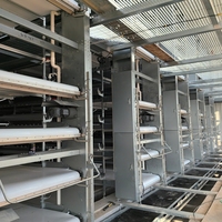 Système de cages à poulets en couches de type H haute densité pour l'équipement moderne de production d'œufs avicoles