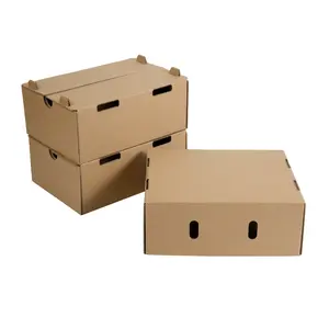 थोक फैक्टरी मूल्य कस्टम पर्यावरण-अनुकूल सामग्री नालीदार फल अंगूर एवोकैडो पैकेजिंग बॉक्स