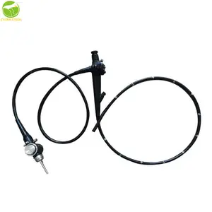 PET Veterinary Medical Equipment Endoscope For Dogs Cats Video Gastroscope