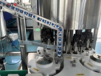 Projet d'usine de remplissage et de fabrication de bouteilles en verre de haute qualité à bas prix pour bouteilles en verre