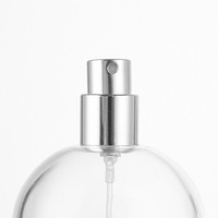 Vente en gros Bouteille de parfum de luxe 50 ml 100 ml Flacons vaporisateur de parfum vides à bouchon argenté transparent