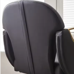 Silla de Barbero Hidráulica Reclinable Dorada de Lujo para Todo Uso, Directo de Fábrica Daisy 2025, para Salón de Belleza y Peluquería, en Venta - Product Image 6