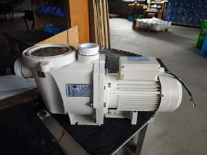 Filtro para Piscina Pentair, Bomba para Piscina de Agua Salada de 1.5HP IP55, Fabricante - Product Image 2