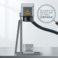 Machine de gravure sur métal DEMAX, marqueur laser à fibre, équipement d'atelier portable pour le marquage des pièces en acier, ensemble d'outils