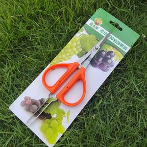 Ciseaux de taille-vigne Farmer's Joy 10-20 mm en acier inoxydable avec poignée orange, ciseaux de jardinage multifonctionnels - Product Image 1