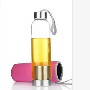 Sport Water Bottle with Infuser Water and Tea Travel Infuser, Glass and Stainless Steel Direct Drinking Running