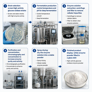 Polvo de Enzima <span class=keywords><strong>Glucosa</strong></span> Oxidasa de Grado Alimenticio para Mejorar la Harina, Panificación, Etiqueta Limpia, Reemplazo de Oxidantes - Product Image 6