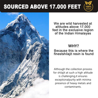 Pâte de résine de Shilajit de l'Himalaya 100% pure OEM 85% minéraux d'acide fulvique