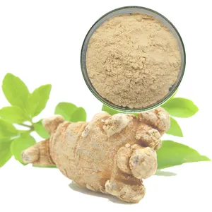 Topkwaliteit Plantenextracten Pure Food Grade Panax Notoginseng Bladextract